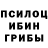 Галлюциногенные грибы Psilocybe Madlen Vollrath
