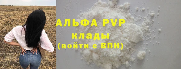 прущие грибы Новокубанск