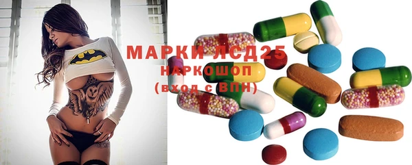 прущие грибы Новокубанск