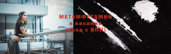 прущие грибы Новокубанск