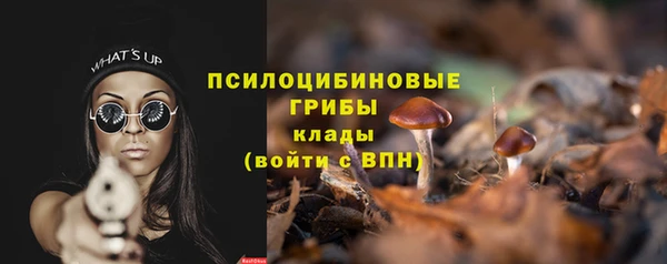 a pvp Новозыбков