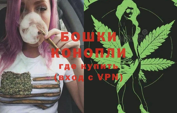 прущие грибы Новокубанск