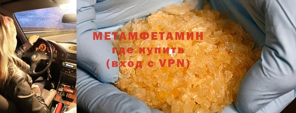 прущие грибы Няндома