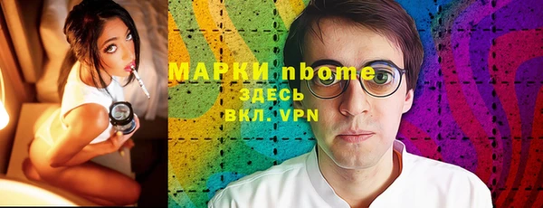 a pvp Новозыбков