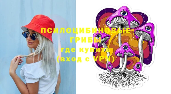 прущие грибы Новокубанск