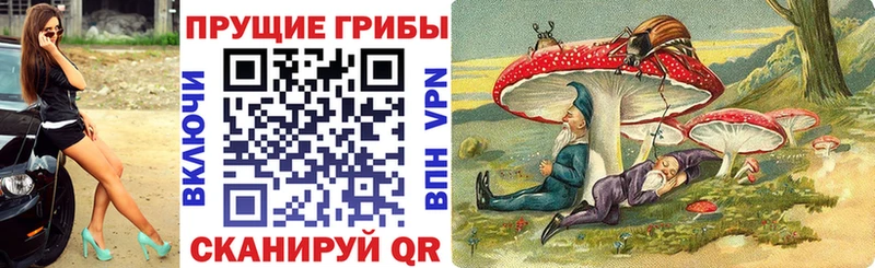 Галлюциногенные грибы прущие грибы Лосино-Петровский