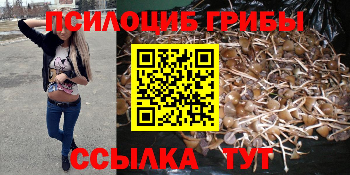 Лосино-Петровский  Галлюциногенные грибы GOLDEN TEACHER  Вход с VPN 