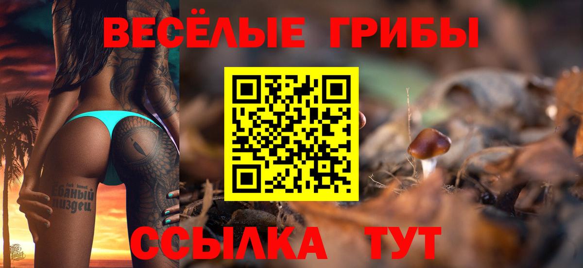 ГАШ Лосино-Петровский